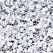 Miyuki seed beads 11/0 - Semi-matted crystal ab 11-131SFR
